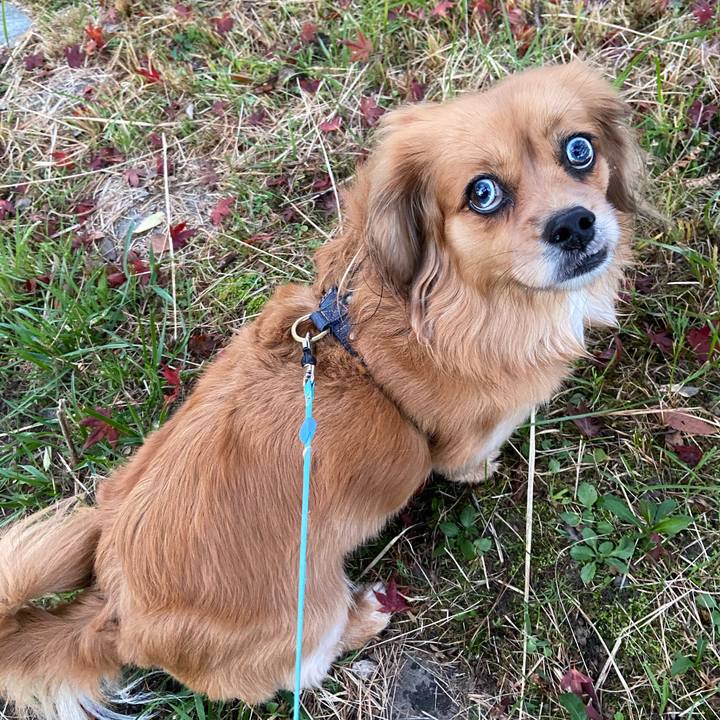 71cf0092 db23 4884 a92e b3a766968d14 1606340931707