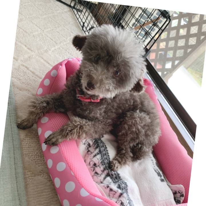 71cf1e25 9ad2 4100 ae64 0082bd98ad12 1653514544131