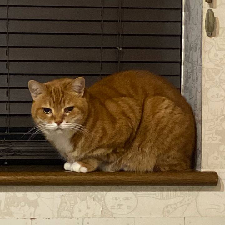 71cf7fc2 6af2 48cb a787 f7213f5985c5 1670249502490