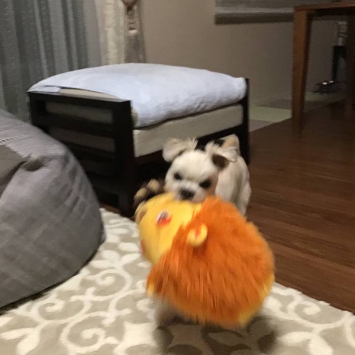 71cf8bfb cc19 4c19 b64a 5d1f347c264d 1541331377633