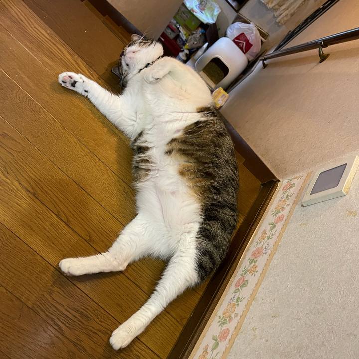 71cfcb0b bd43 450c ac7e bb95d39bf20c 1753311305824