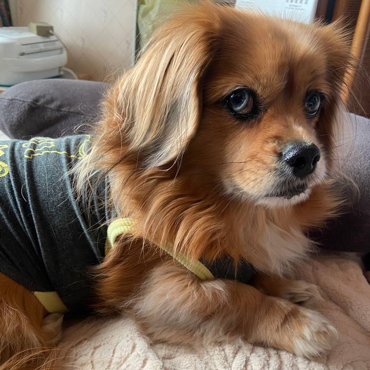 71d01771 7f15 4826 9dea 9a0ef1998f9b 1671059143025