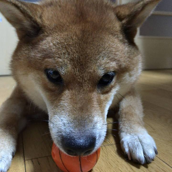 71d0457e c77d 46b7 a125 cbde87a00c15 1562672826393