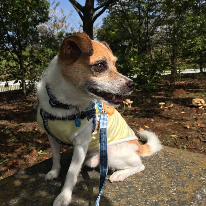 71d0d6fd 6a61 44c5 85d4 b64329650dd4 1537682447812