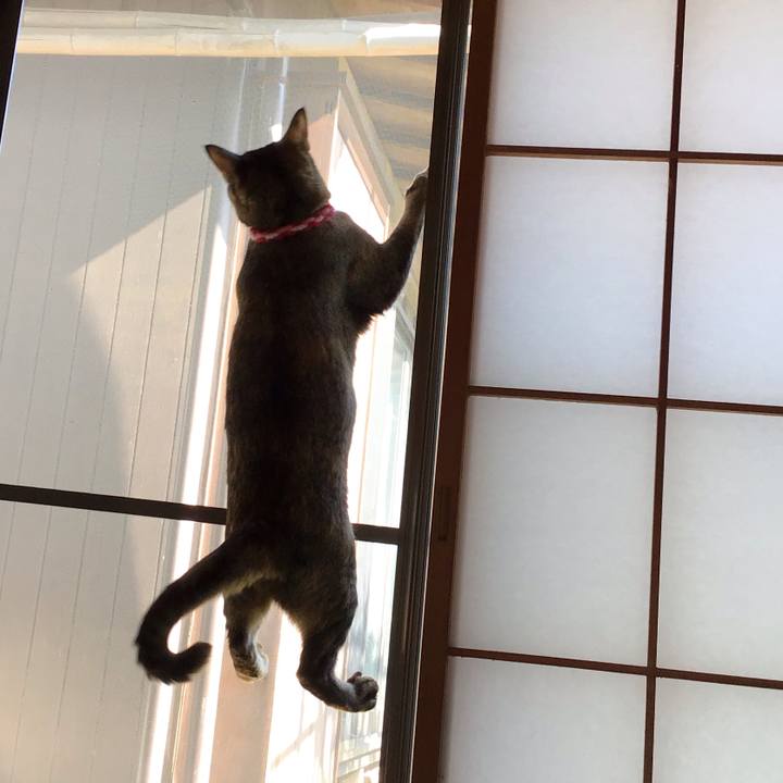 71d0e1a9 01f8 407d 8cd3 7383663f96d5 1605239276305