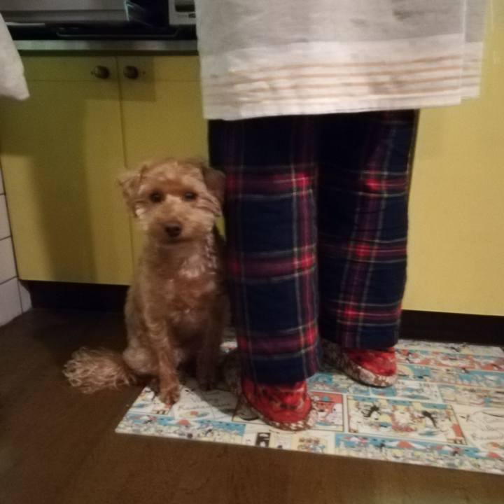 71d0e2dc 8844 4303 81e6 c204548b436c 1552998708387