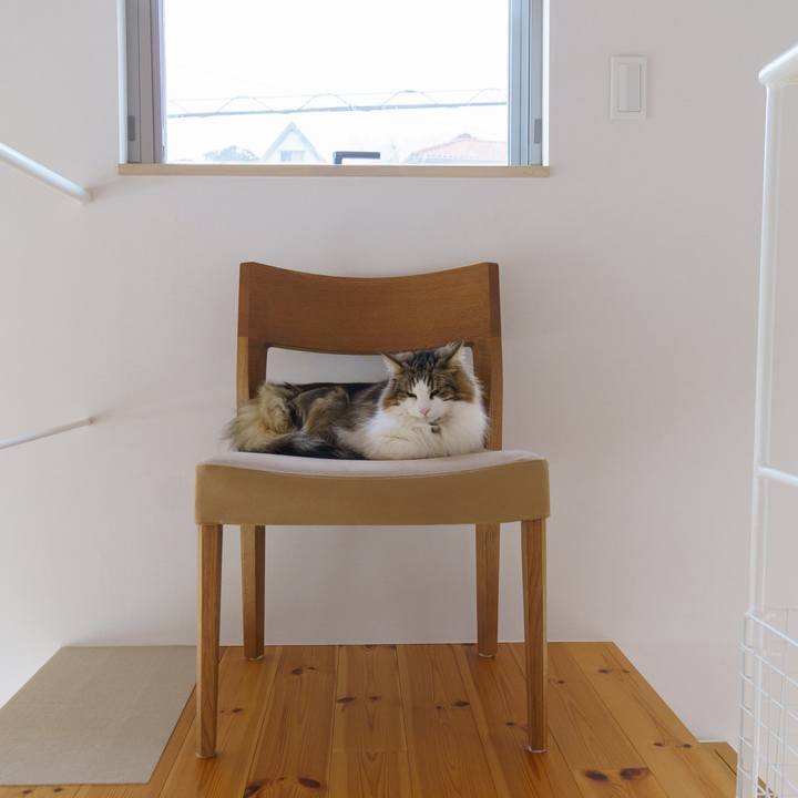 71d10c0a 5afb 4d5e 9d42 d107a193262f 1646808019204