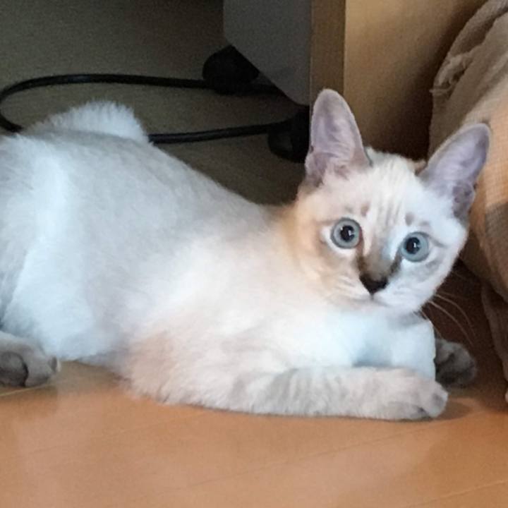 71d11d95 2ea5 4f27 9671 c73342751e5d 1669697739181