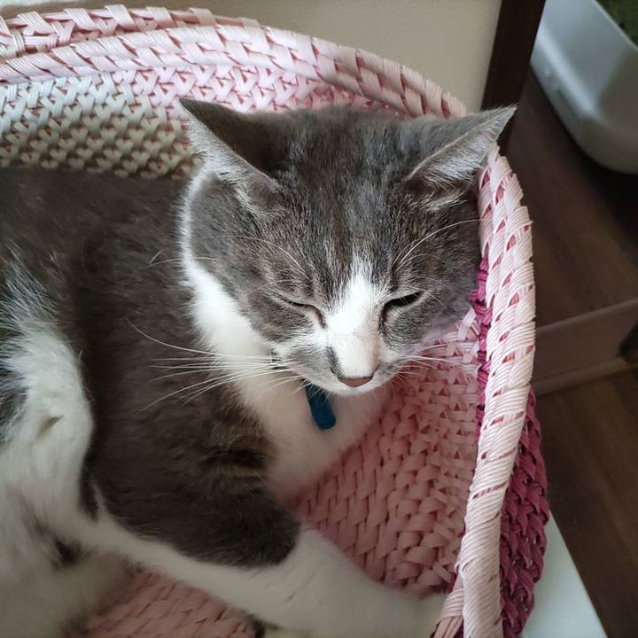 71d15d9f 86b9 4a9f bbeb 69b726fa9c55 1691963764847