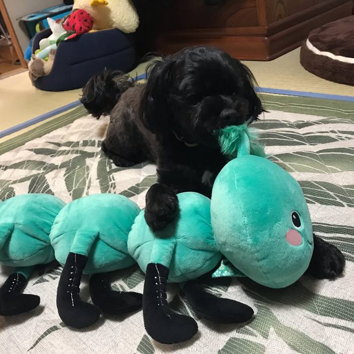 71d18c4b 7376 4146 9f59 785f1cc2f322 1565568350292