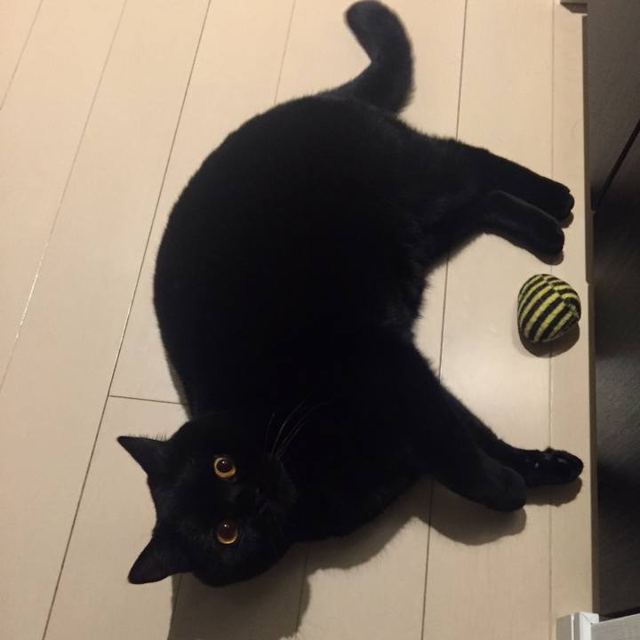 71d19618 1434 4bc2 bbe6 04cd4b19d239 1522152698411