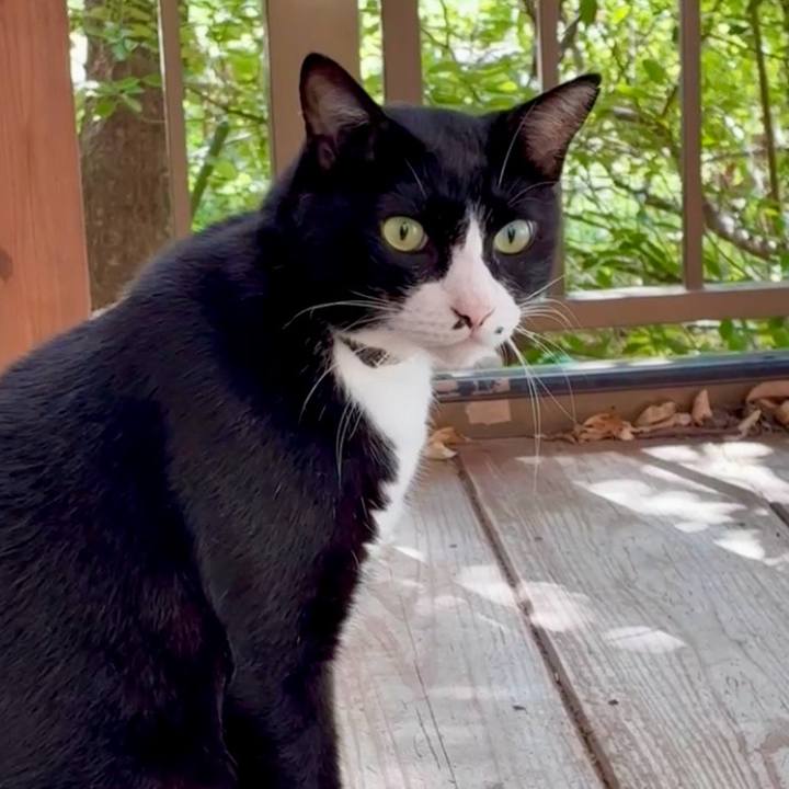 71d1d351 3385 4488 a81a 431e166cf1ec 1755999323660