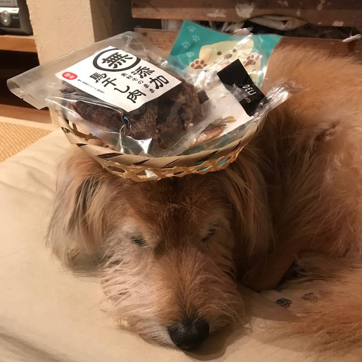 71d1dbcf 873e 4f2d 9a48 c6ceb41ad313 1544536743401