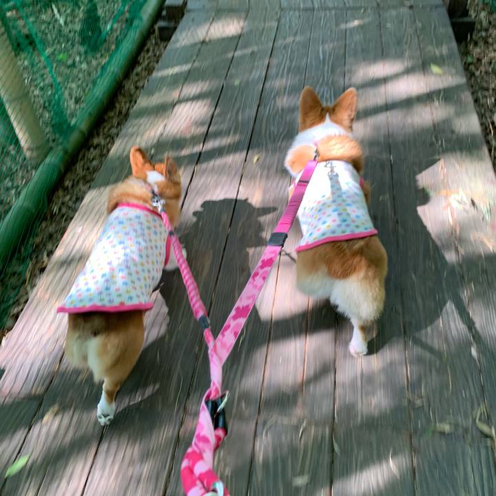 71d1fdf2 f164 4407 bffe ad47b54ab933 1588834921580