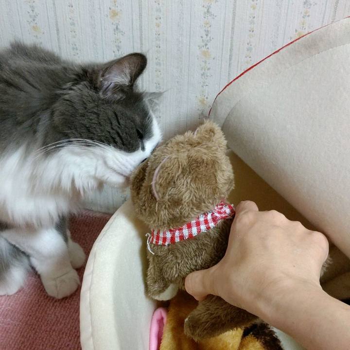 71d21273 79eb 4ffe 916e aabf396f2b89 1601378873521