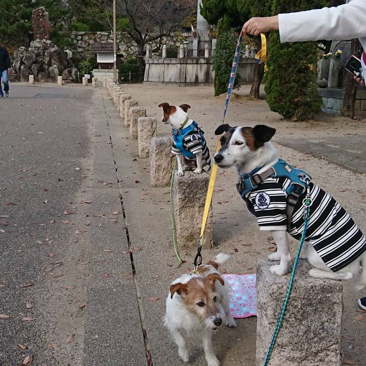 71d22efc 2ee1 40b0 a140 9f5b17f3f6b0 1605923811005