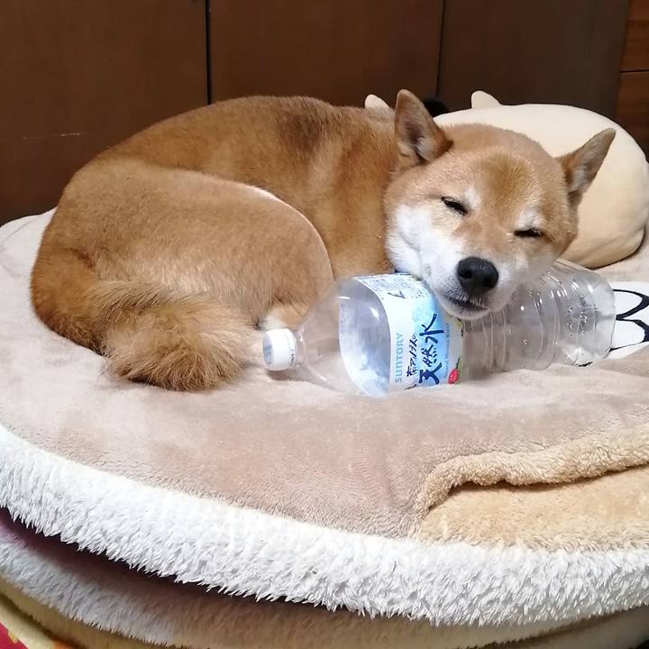 71d25ae8 5b68 4ee1 b46c 32b1e4dceb89 1580818288581