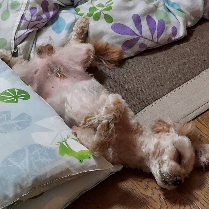 71d267e3 4095 4257 9f7e 283a0123f1ba 1659408575521