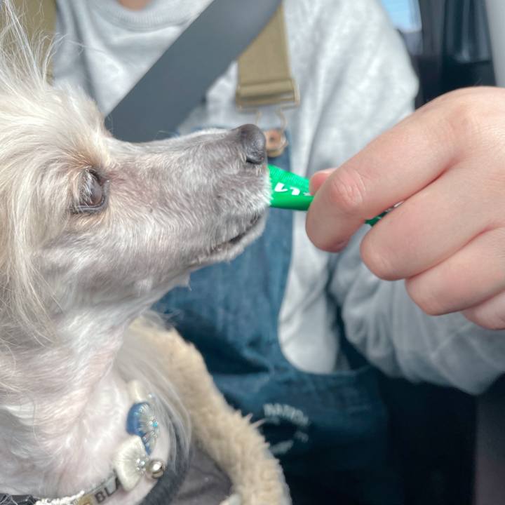 71d2a25f 8327 4b1c 8f4c b4cefc85acee 1772869284300