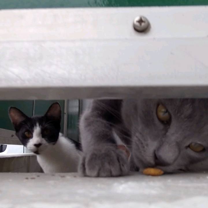 71d2a4d1 4bde 49a7 902a beec9b164725 1629534296384