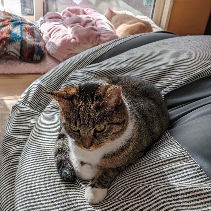 71d2aa8d 37a8 4a42 a254 5e75de241119 1699668276221