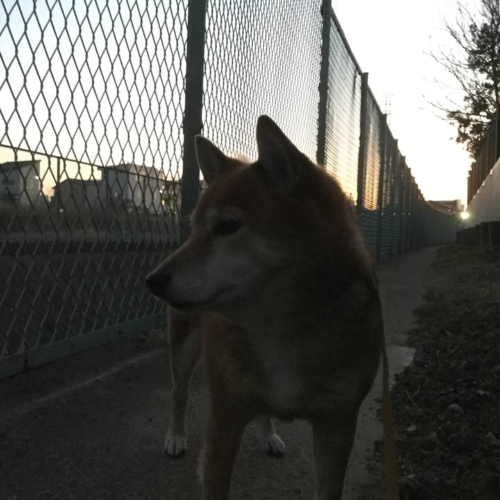 71d2fc40 868e 4310 b0c6 022de5bfa155 1548751909613