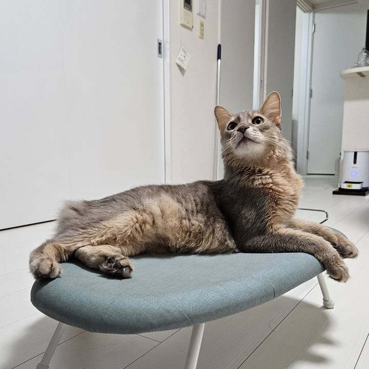 71d31f10 f081 49fb b679 e82abb6abd23 1699091620801