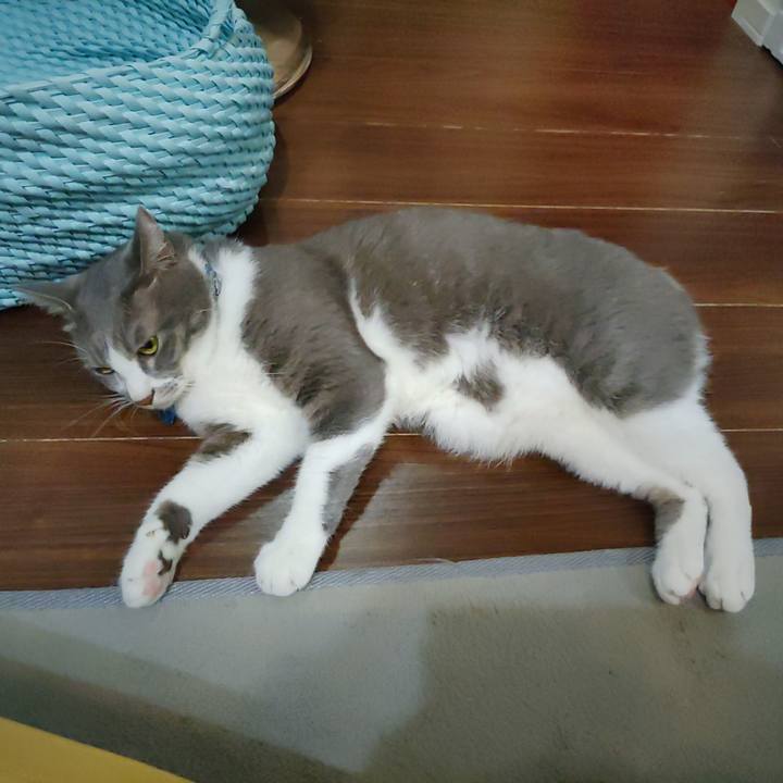 71d32265 7324 481b acf7 7aea8dee1fb8 1693782263327