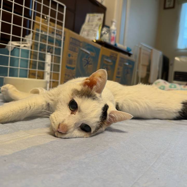 71d35686 dc5d 4c83 a735 09afd31d2439 1768965815236