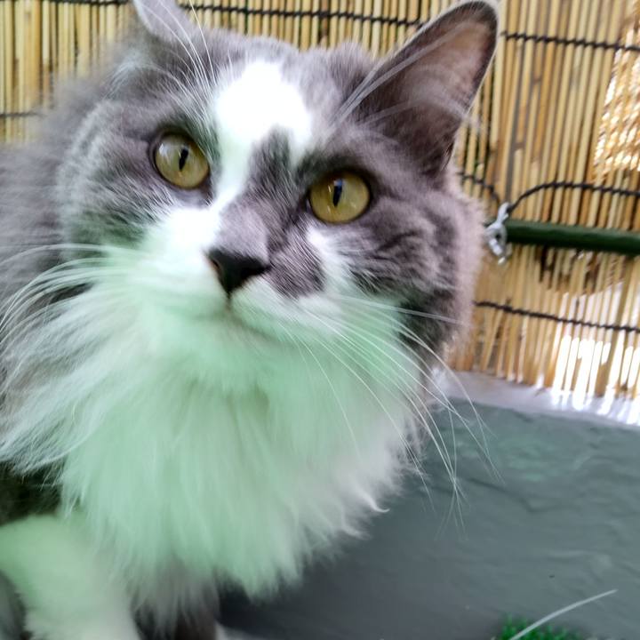 71d37abd 4410 4232 a5cc 0bb8bfab18ef 1622693204015