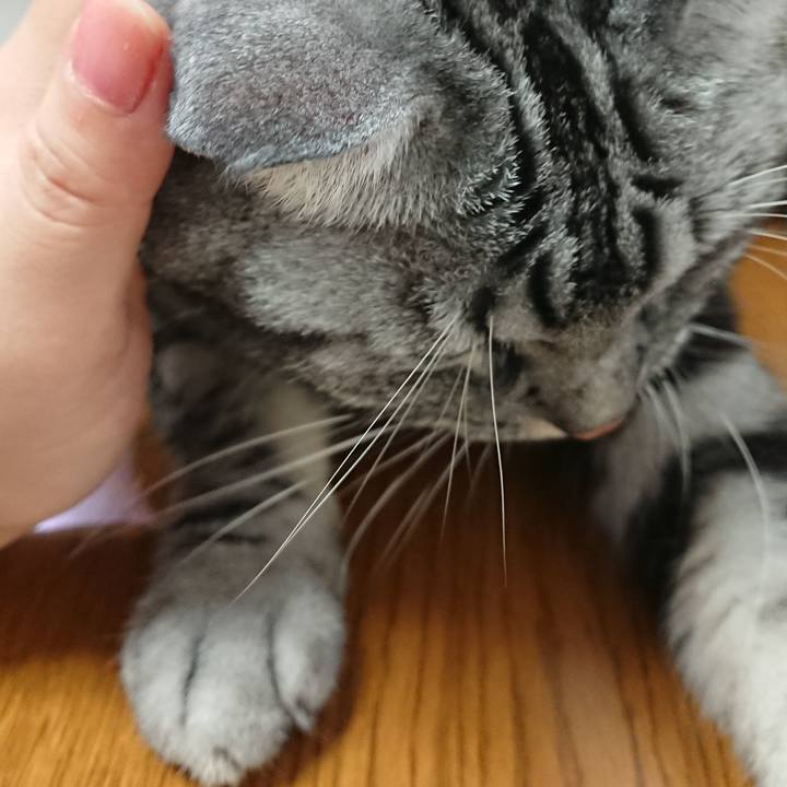 71d39d4a 76ba 4301 8b2a 4421ab666414 1544155847800