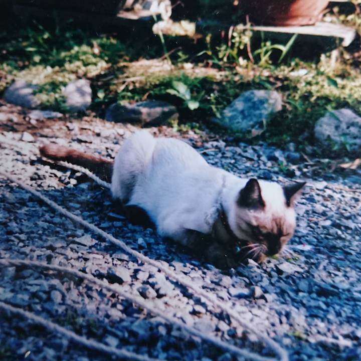 71d3cffd 1d29 47d8 864d 70d9bc31d6d9 1662076805949