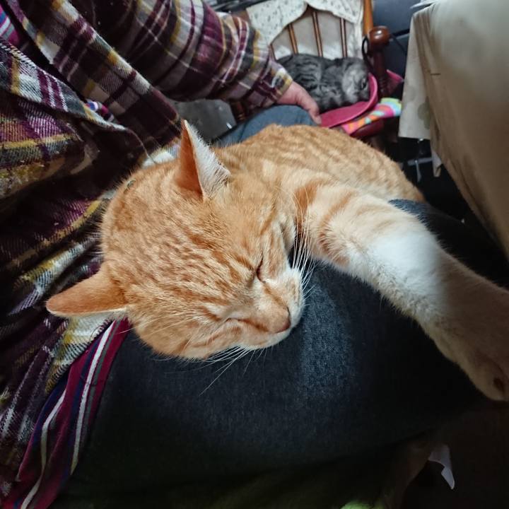 71d3e0dd badc 406a aefe 6910d964a098 1581833138487