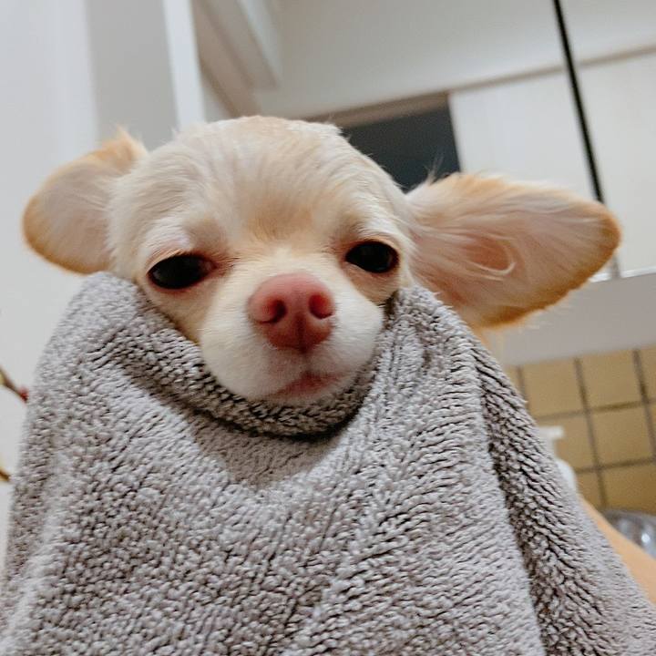 71d3e64f 36ea 4df7 b2b3 7aac01fb7f7b 1613125503013