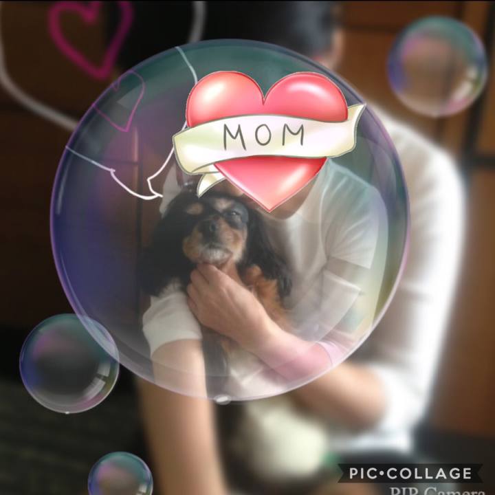 71d40711 5538 42ec beb2 e75ec53a6056 1535972773885