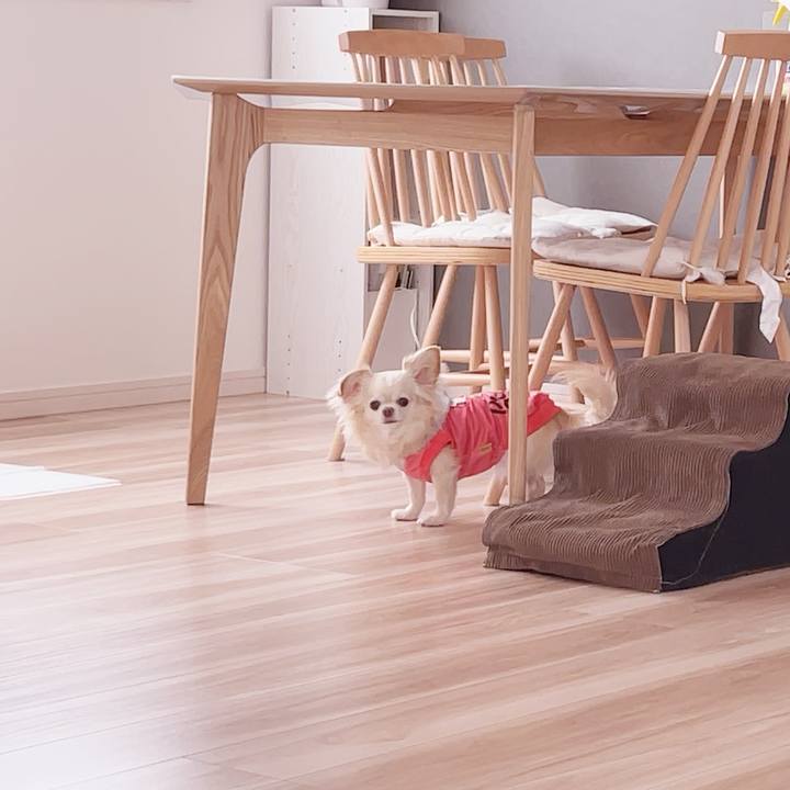 71d41198 c2f1 4add 8756 53101f2b9689 1743129026611