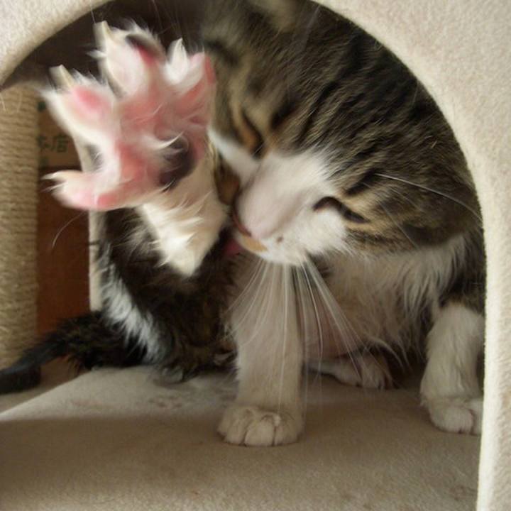 71d439cc f298 4b7b 9bd3 a4bbf2031d99 1533771201768