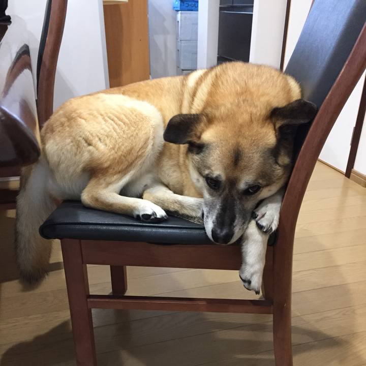 71d44eb5 da41 418e 80ec 88c5e7ed36ae 1525952496056