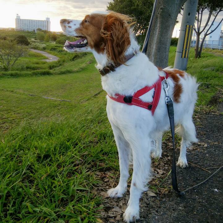 71d45c4c be8b 486e 96f9 1faf88d8cda6 1538825763629