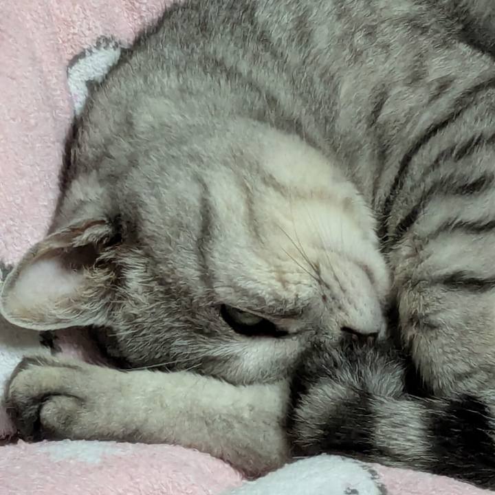 71d46e92 b54d 4a14 980d e1f3e246a8ed 1751555109931