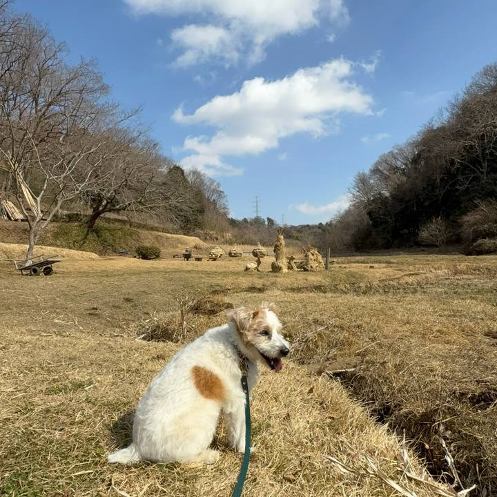 71d47126 f30c 46bf bf99 5ea9ae5af3da 1771414130789