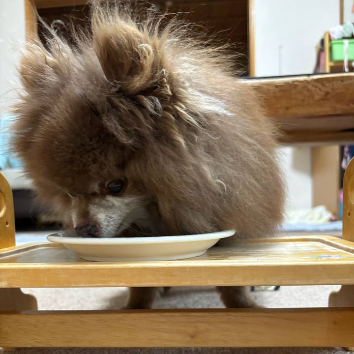 71d47882 666a 4eb5 a263 9fbe5b38b52c 1746913251085