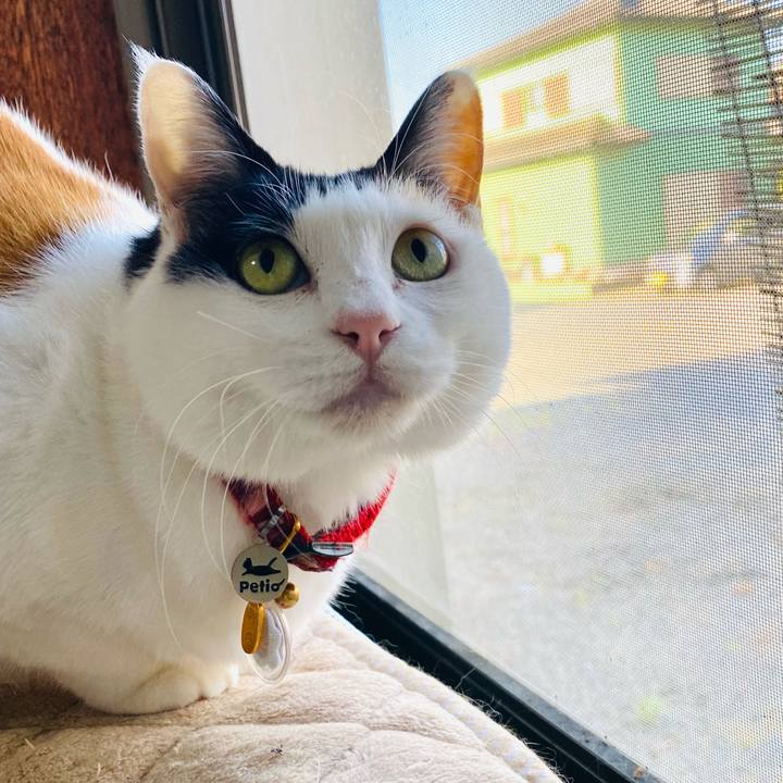 71d49083 bed3 4972 bc02 67a4485a8a6a 1715895658242