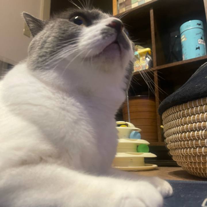 71d49144 fe2f 4fab 9238 99560ff8cad6 1725271880033