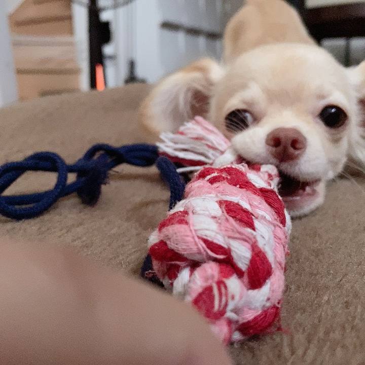 71d4e9e1 41e0 41b3 960d eb8041b5aea6 1596920470795