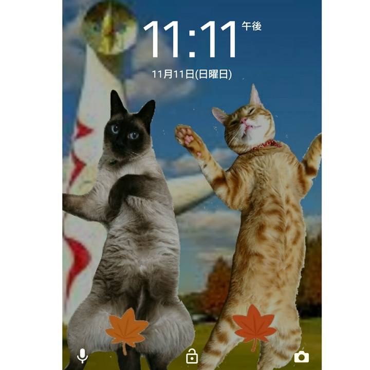 71d53481 3d58 4e84 9ff1 b47fa641c4e4 1541945643913