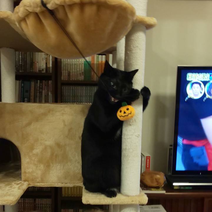 71d5384c 370d 4ec5 8b32 0488dbd67dd9 1603166144839