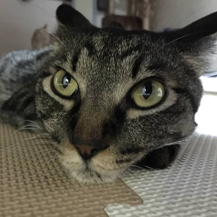 71d57309 8897 4b50 869b 4cece57d88a8 1618961834643