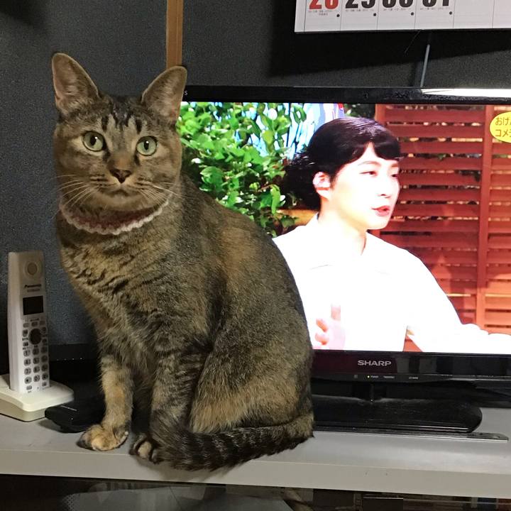 71d57753 c394 4972 b9a8 8dc4f11a6db9 1660830455018