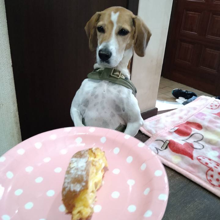 71d59413 7bbf 4bc9 844d 6faaf26ee425 1665649762147